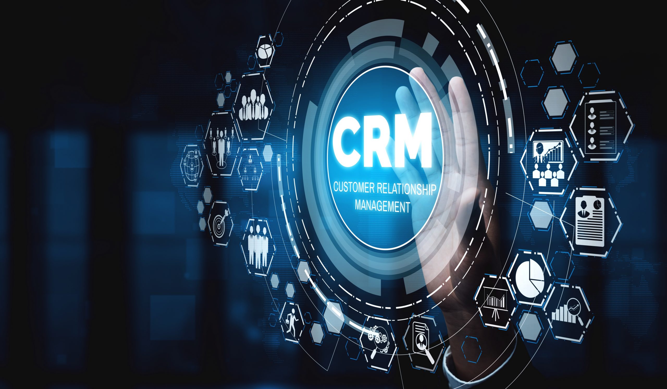 servicios profesionales webssss